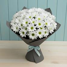 Букет цветов из:  Хризантемы #REPLACE_PRED# Нефтекамске