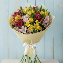 Букет цветов из:  Альстромерии в Нефтекамске