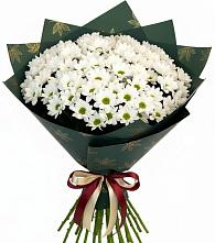 Букет цветов из:  Хризантемы в Нефтекамске