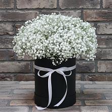 Цветочная композиция из Гипсофила в шляпной коробке #REPLACE_PRED# Нефтекамске